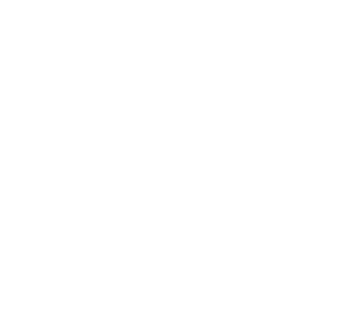 Weddingshooters